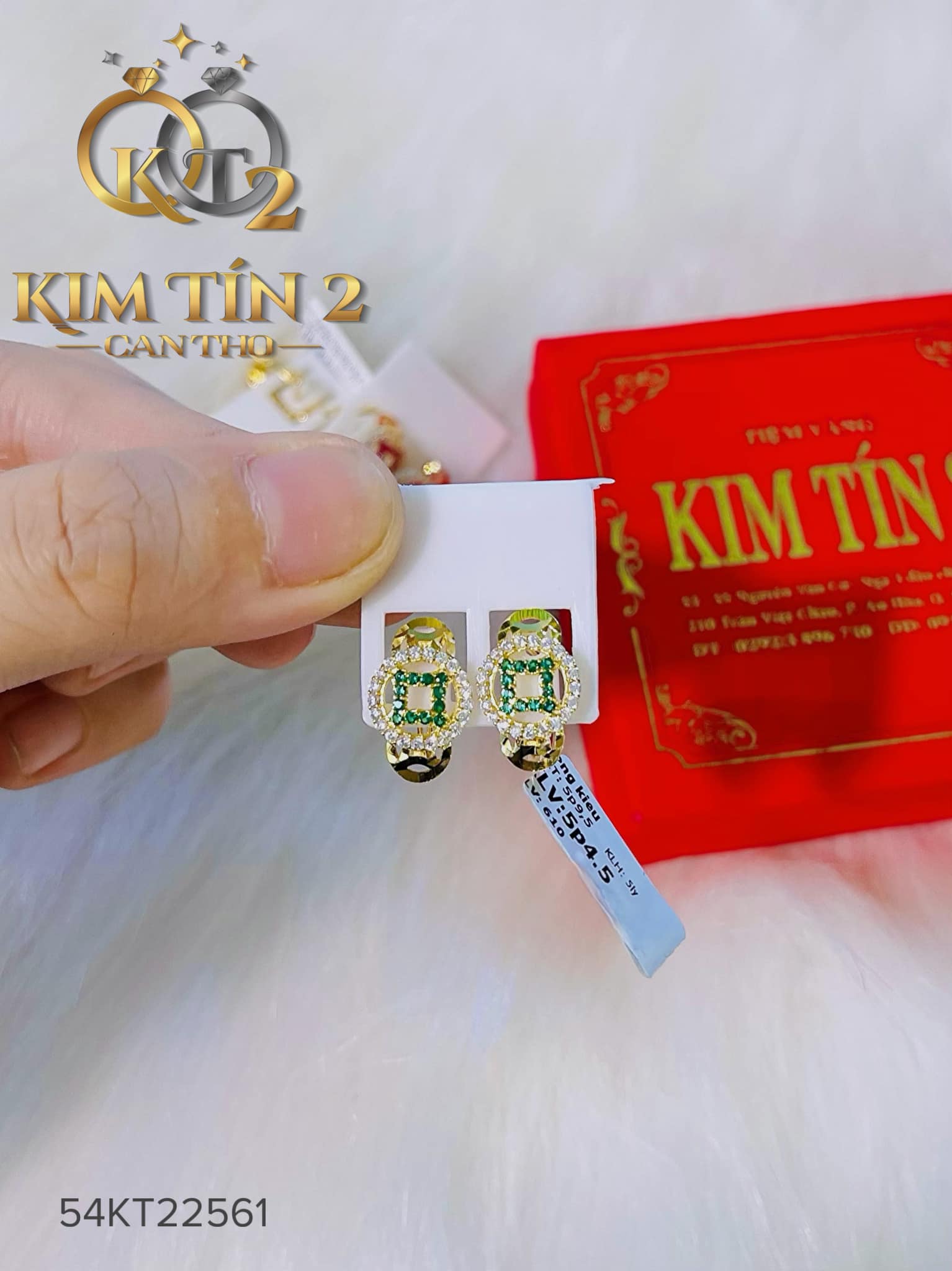 Mẫu 13 - Bông tai - 5 phân 4