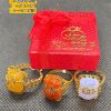 Nhẫn Túi Tiền Nhiều Kiểu Dáng Cho Nữ