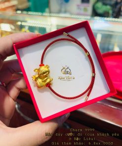Charm Đa Dạng Mẫu Mã